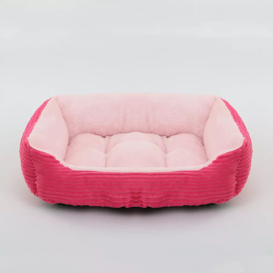 cat dog bed 07