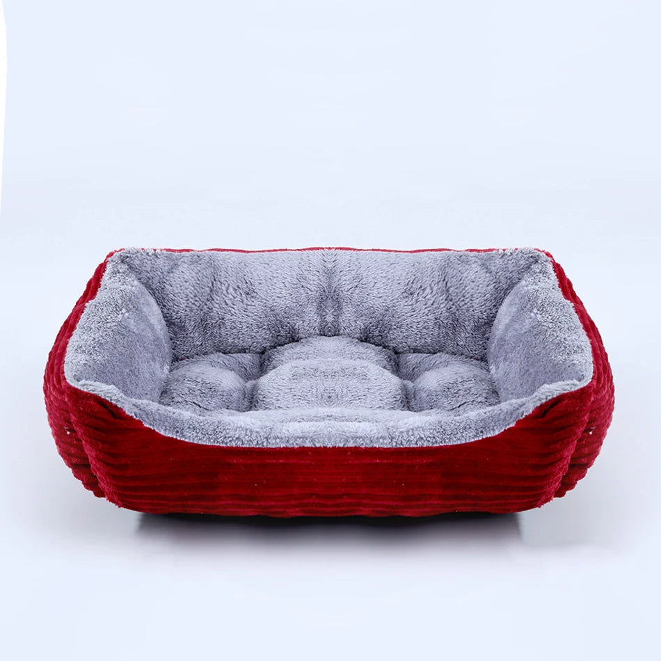 cat dog bed 02