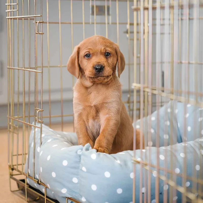 Personalised Cosy & Calming Puppy Crate Bed in Duck Egg Spot by Lords & Labradors