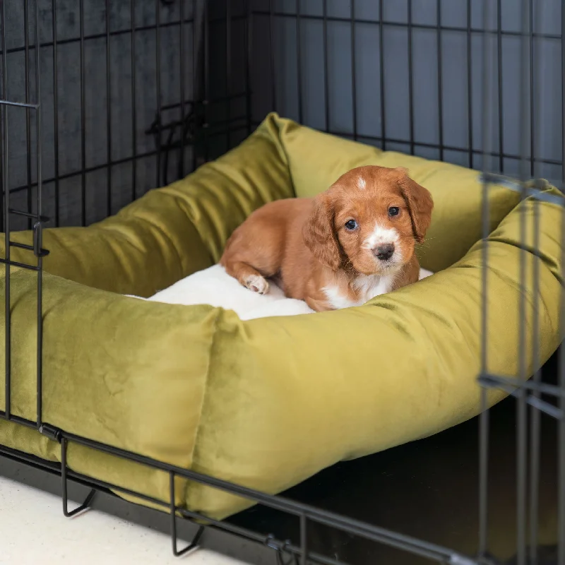 Personalised Cosy & Calming Puppy Crate Bed In Olive Velvet By Lords & Labradors