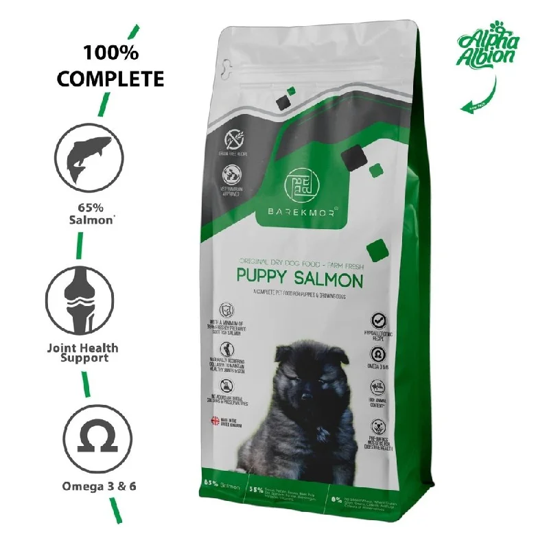 Barekmor: Puppy Salmon Recipe With 65% Salmon And 35% Fruits & Veg - Grain Free