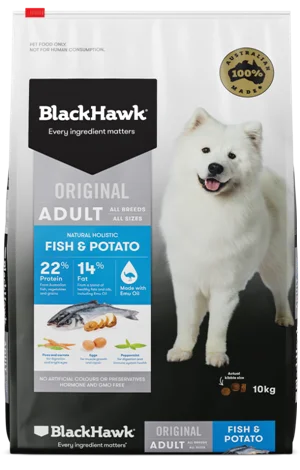 BLACK HAWK Adult Fish & Potato