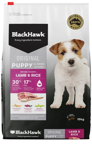 BLACK HAWK Puppy Lamb & Rice