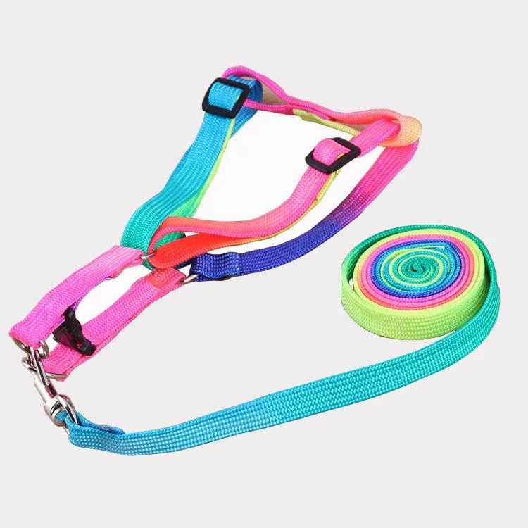 Colorful Nylon Dog Leashes