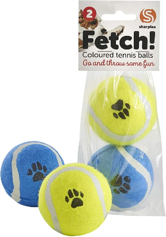 Fetch 2 Coloured Tennis Balls