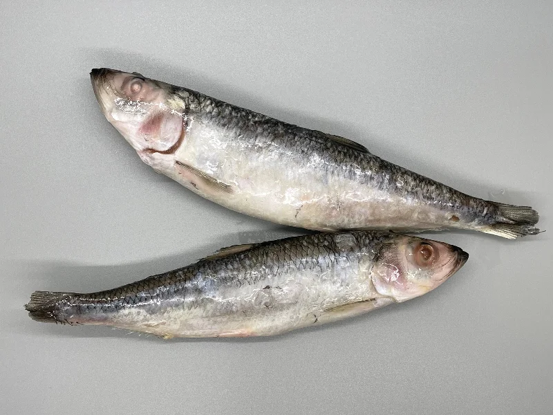 Whole Herring