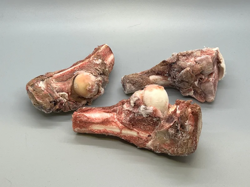 Kangaroo Leg Bones -Box