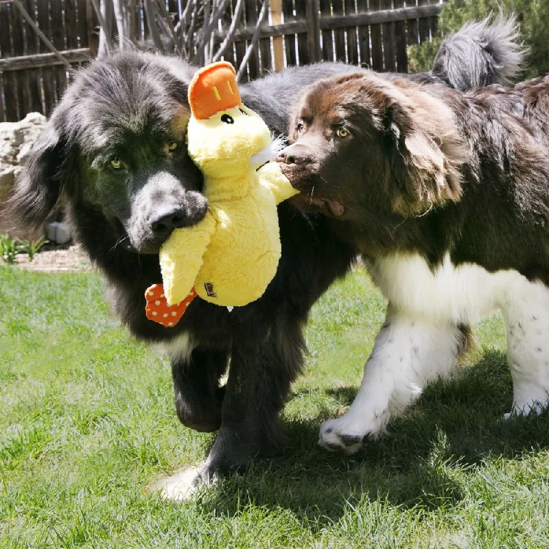 KONG Comfort Jumbo Assorted Duck Dog Toy