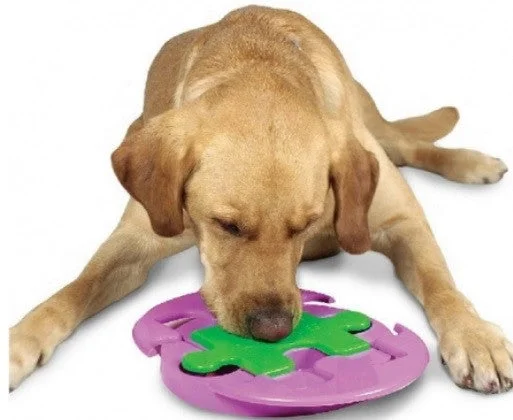 Outward Hound Jigsaw Glider Dog Toy