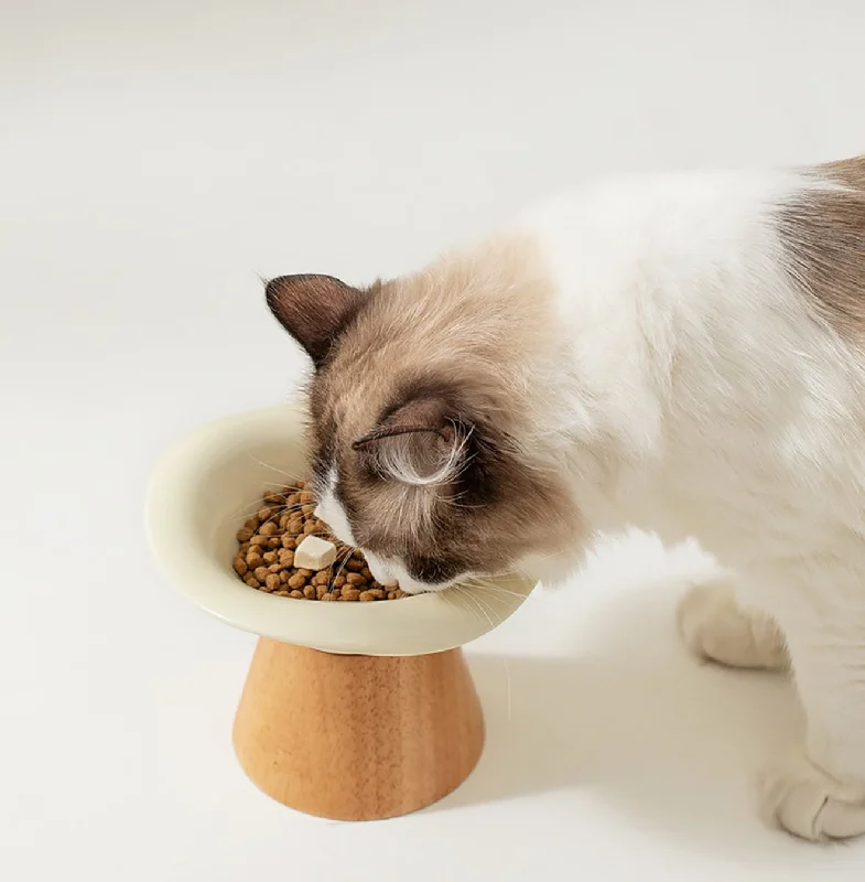 Elevated Ceramic Pet Feeder