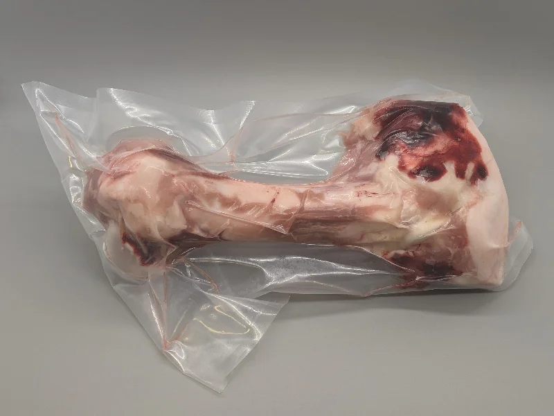 Pork Femur Bone