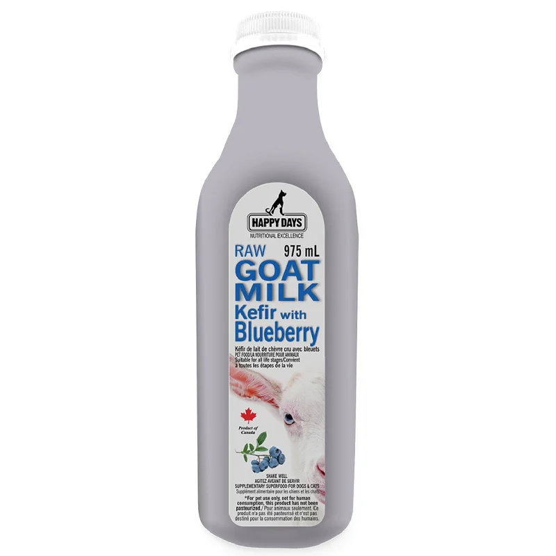 Raw Fermented Goat Milk with Blueberries