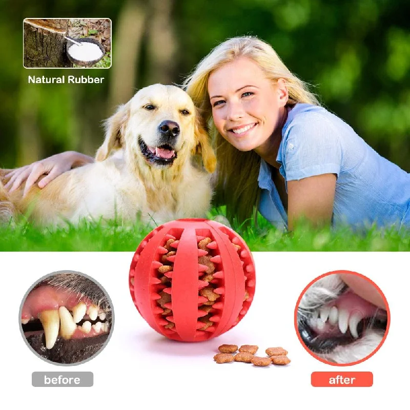 Rubber Pet Ball Toy