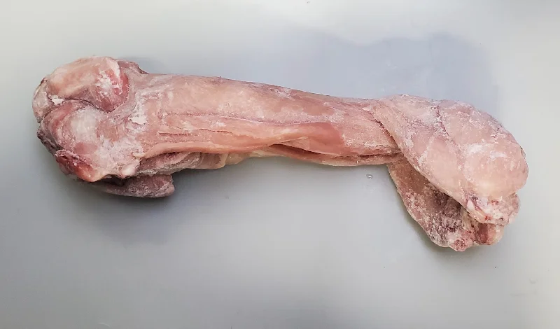 Whole Rabbit - Skinned