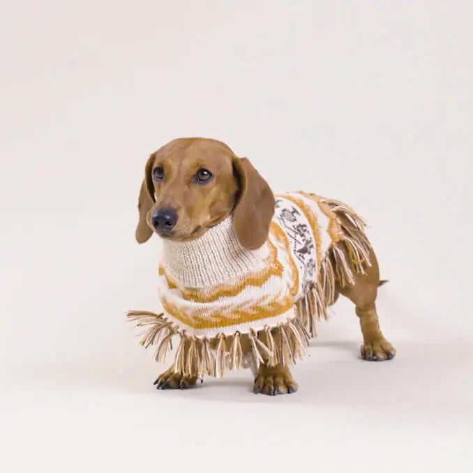 Alqo Wasi - Llama Natural Alpaca Dog Poncho