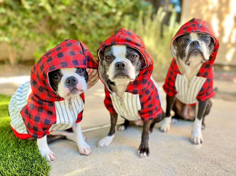 BUFFALO PLAID DOG HOODIE IN SIZE L