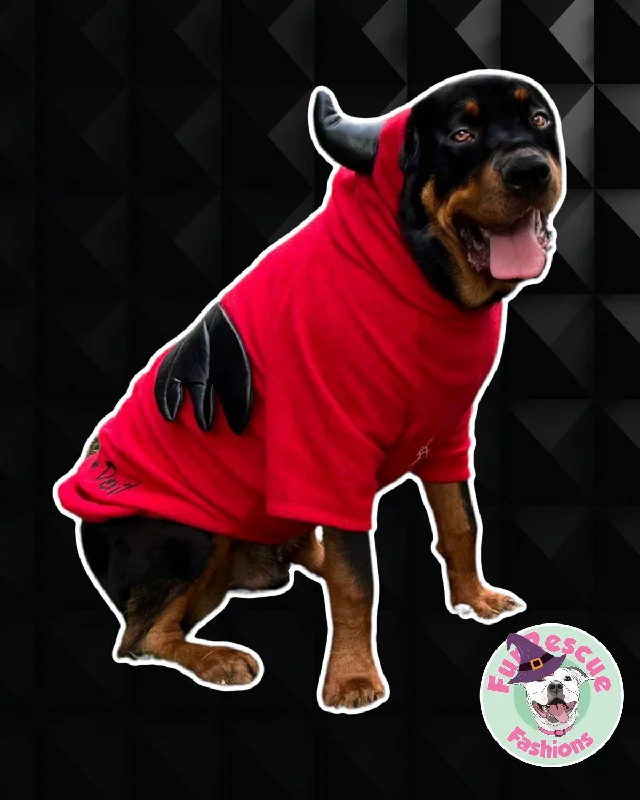 Sweet Little Devil With Embroidery Hoodie