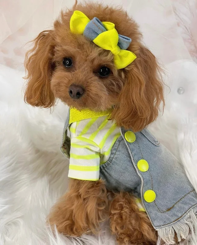 TaniWina Fluorescent Fido Denim Dress Pet Clothes for small dog