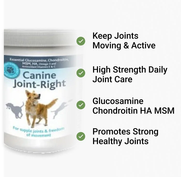 Canine Joint Right - Premium Glucosamine for Dogs